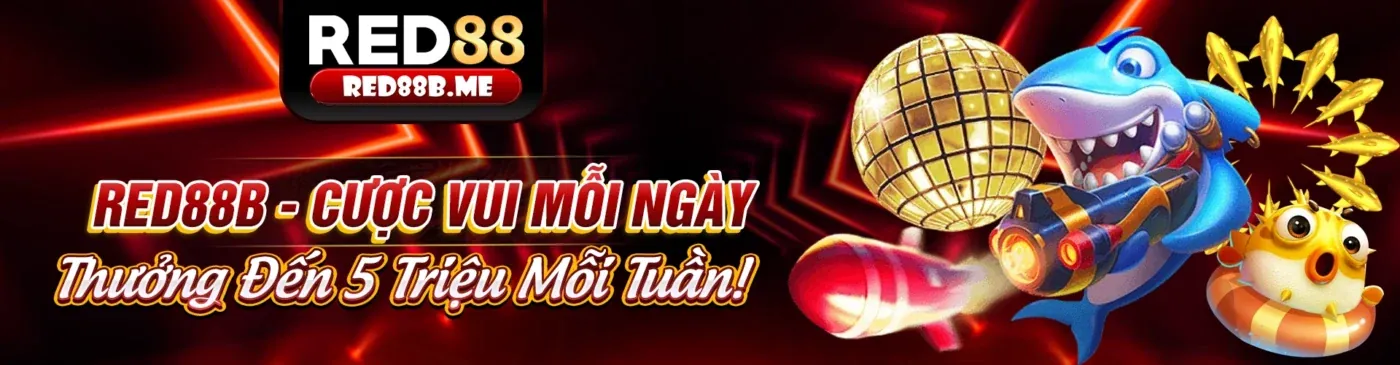 Hình ảnh Chính sách Cookie cm888 app đảm bảo an toàn dữ liệu